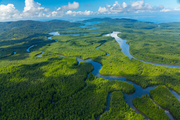 Aerial view of Delta Sierpe River Terraba, Corcovado National Park, Osa Peninsula, Puntarenas...