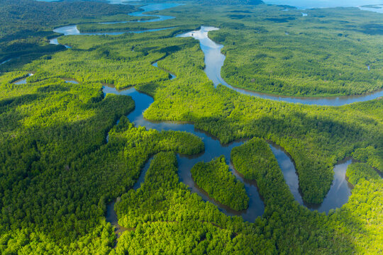 Aerial view of Delta Sierpe River Terraba, Corcovado National Park, Osa Peninsula, Puntarenas Province, Costa Rica, Central America, America