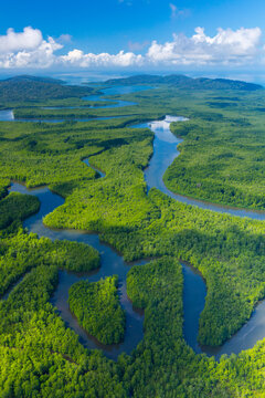 Aerial view of Delta Sierpe River Terraba, Corcovado National Park, Osa Peninsula, Puntarenas Province, Costa Rica, Central America, America