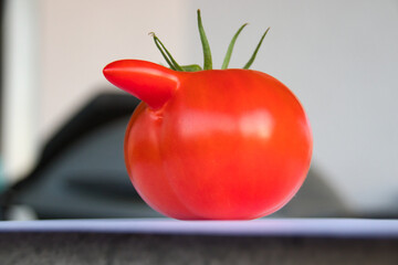 a Red tomato with a deformity