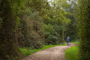 une personne  âgée marchant sur un chemin dans la forêt. Senior adulte marchant dans les bois