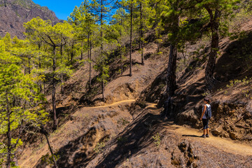 A young woman on the beautiful trekking trail of La Cumbrecita on the island of La Palma next to the Caldera de Taburiente, Canary Islands. Spain