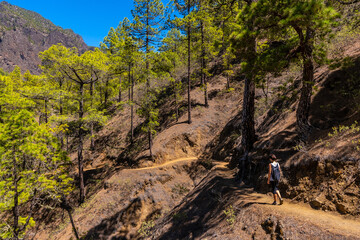 A young woman on the beautiful trekking trail of La Cumbrecita on the island of La Palma next to the Caldera de Taburiente, Canary Islands. Spain © unai