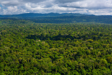 Corcovado National Park, Osa Peninsula, Puntarenas Province, Costa Rica, Central America, America