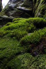 Adršpach-Teplice Rocks in northeastern Bohemia, Czech Republic.