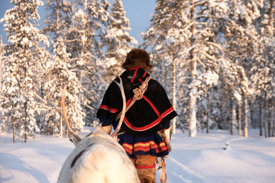 Sami reindeer herder 