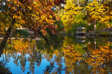 Obraz premium Beautiful landscape with reflection of trees in a forest lake. Bright yellow and orange fall foliage trees reflected in water. Autumn natural background, most wonderful places in a world.
