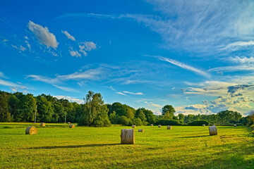 Obraz premium Landscape with Hay Bales