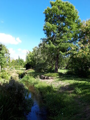 Obraz premium Kurpark im Sommer in Bad Dürkheim