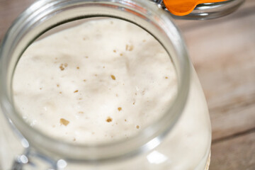 Sourdough starter