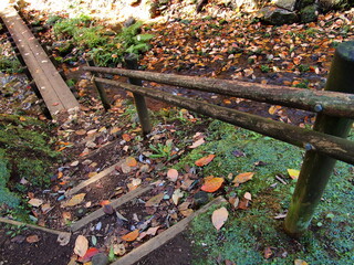 枯葉舞い散る清流と遊歩道