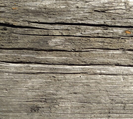 old wood background photo high quality