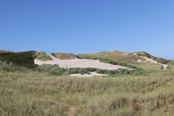 Fototapeta na wymiar Beautiful Sand Dune in Denmark