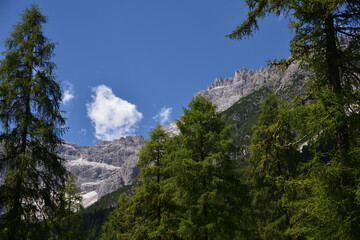 Obraz premium First peaks