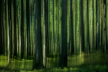 Obraz na płótnie Canvas Abstract pine forest with intentional camera blur (vertical lines)