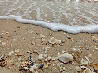 Close up seashell fragments and pebbles on the beach with the waves beat in summer time. Soft focus. Nature background concept.
