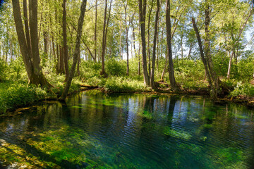 Emerald colored freshwater springs. Puhatu allikad (Sacred springs), Saaremaa, Estonia.