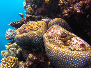 Great Barrier Reef - Queensland Australia