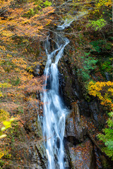 秋の西沢渓谷の滝