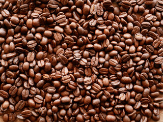coffee bean for background, organic coffee seed