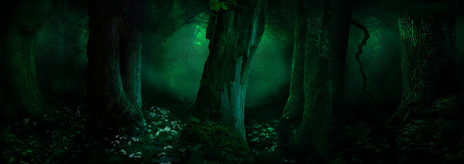 Fantasy forest panorama. Landscape with old mossy trees in dark woods