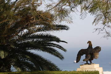 Orzel © Bogdan B