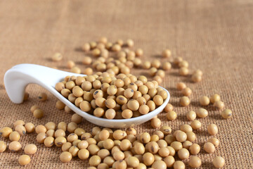 Soybeans in white spoon on cloth background,copy space.