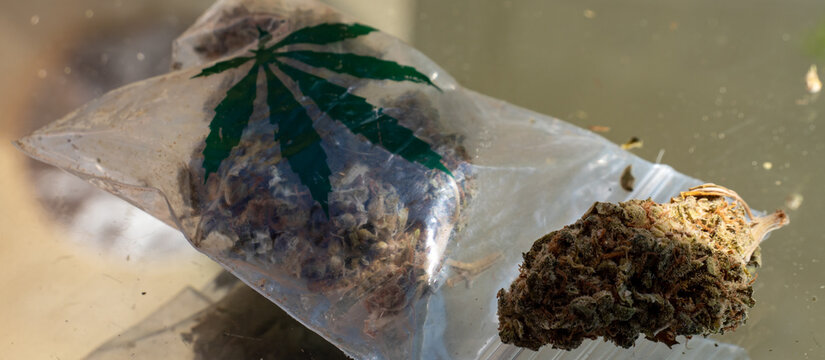Panorama Marihuana in der T&uuml;te