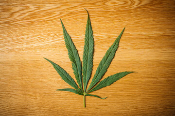 Cannabis (marijuana) leaves. Medical marijuana (hemp) and products with cannabidiol (CBD)