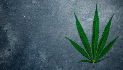 Cannabis (marijuana) leaves on a dark background. Medical marijuana (hemp) and products  with cannabidiol (CBD)