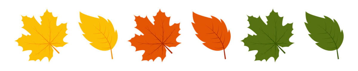 Various autumn leaves on white background. Vector illustration realistic autumn fallen leaves. Leaf in red, yellow, and green colors. Autumn background.