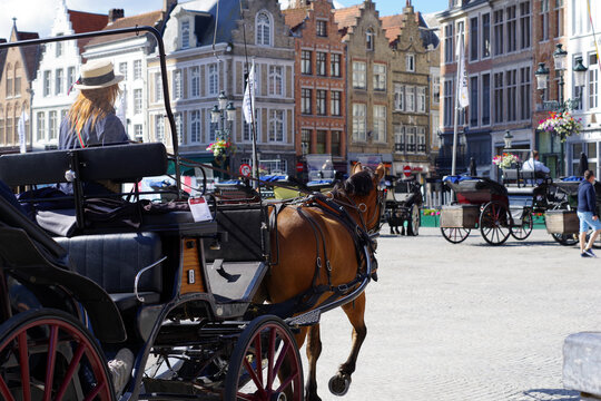 Cheval bai attel&eacute;