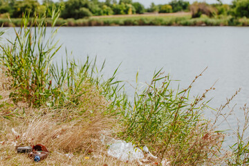Plastic bottles on the riverbank, scattered in the grass