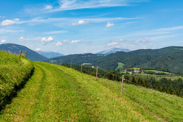 Fototapeta na wymiar Beautiful view of idyllic alpine mountain scenery with meadows, trees and mountain peaks on a beautiful sunny day with blue sky in summer
