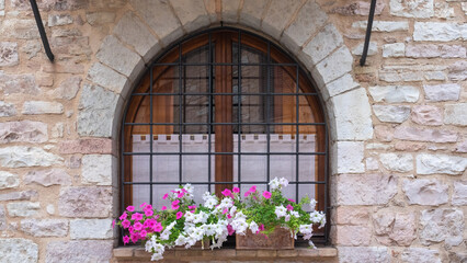 Fototapeta na wymiar white and purple flowers outside the window 