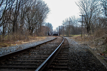 Railway in the Forest