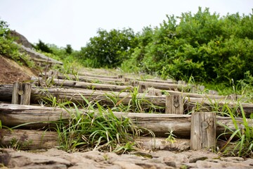 The wooden step to the hiking course in Miyagi.