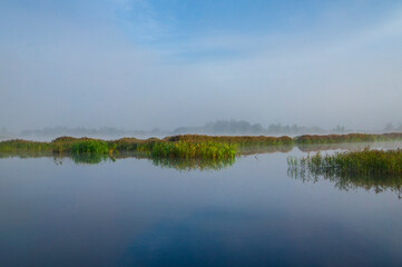 Beautiful morning sunrise over blue forest lake with reeds and reflection of clouds