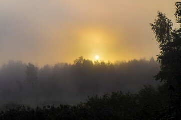 Obraz na płótnie Canvas SONY DSCBeautiful morning sun sunrise over misty forest