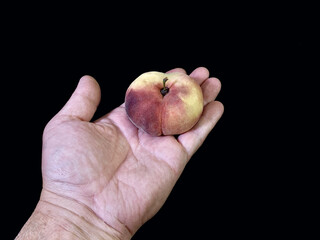 Fig peach in hand on a black background. The man is holding ripe peaches.