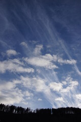 Obraz premium SONY DSC