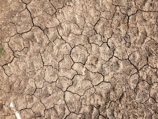 The ground has cracks in the top view for the background