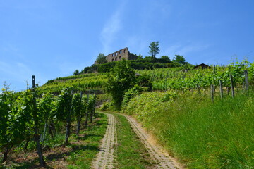Fototapeta na wymiar Staufener Burg