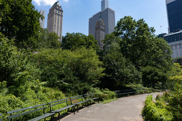 Empty Path along the Pond at Central Park during Summer in New York City with a view of Skyscrapers