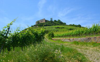 Fototapeta na wymiar Staufener Burg