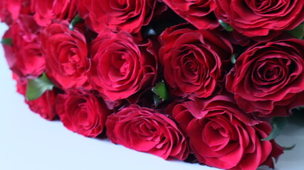 bouquet of red roses on a light background