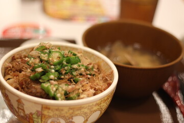 Close up of a bowl of delicious beef and  okra rice, Hiroshima, Japan, soft focus