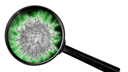 coronavirus vu à la loupe 