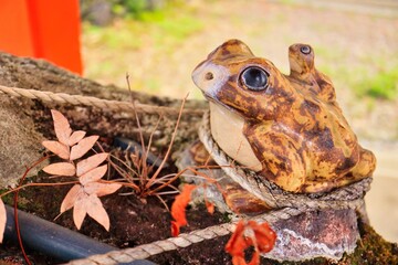 可愛いカエルの乗った手水