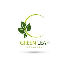 leaf eco green logo design concept template